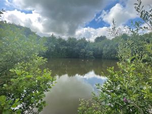 Photo 18- click for photo gallery